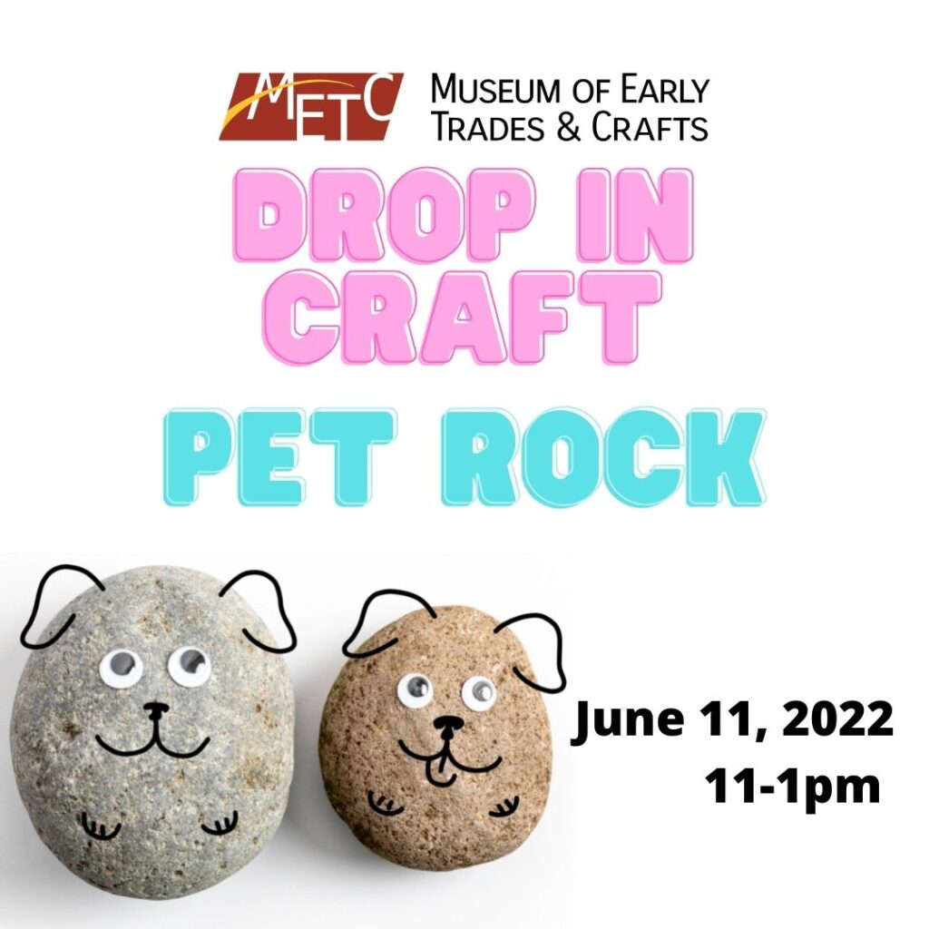Summer Drop In Craft: Pet Rocks