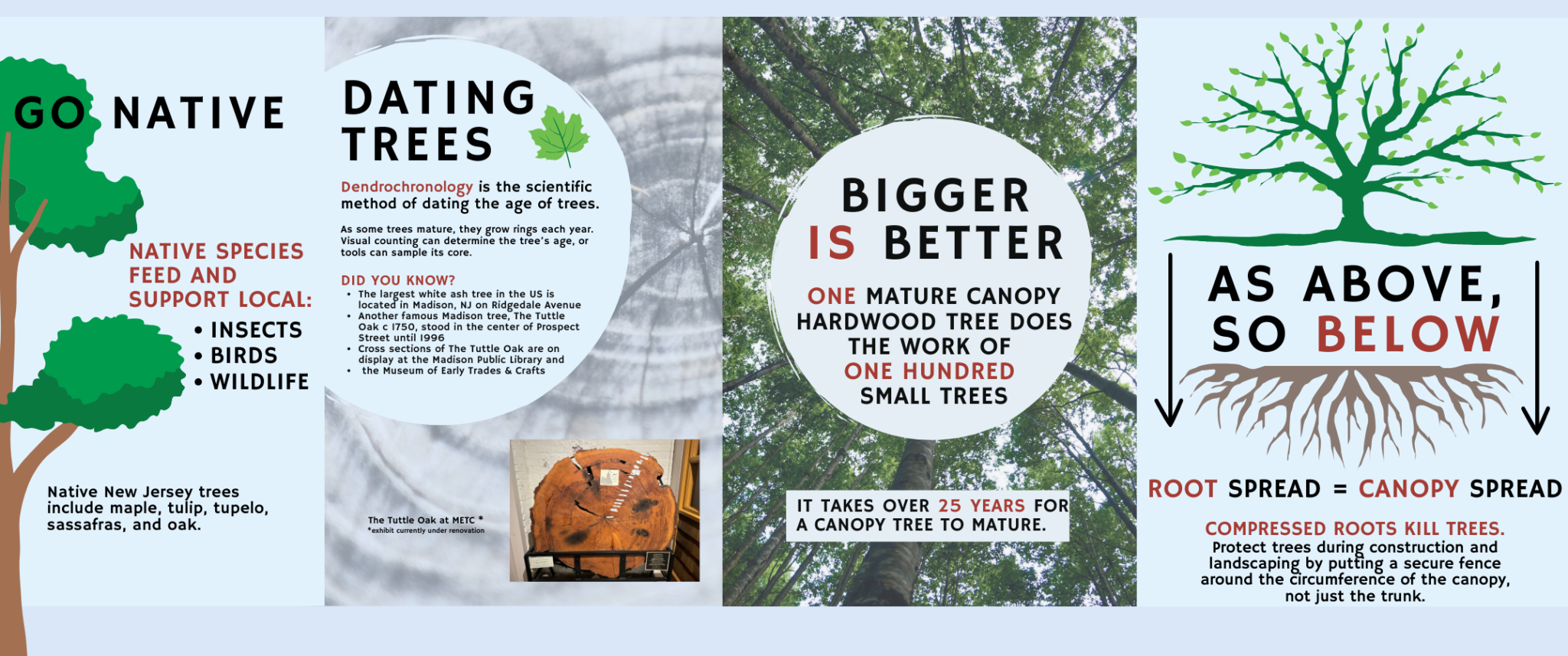 Annex Exhibit - Native Trees at the Museum of Early Trades & Crafts